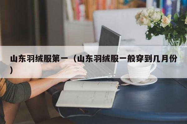 山东羽绒服第一（山东羽绒服一般穿到几月份）