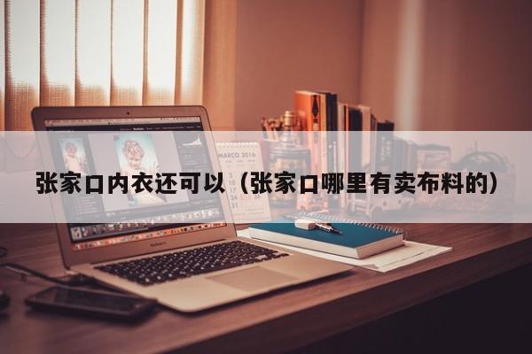 张家口内衣还可以（张家口哪里有卖布料的）