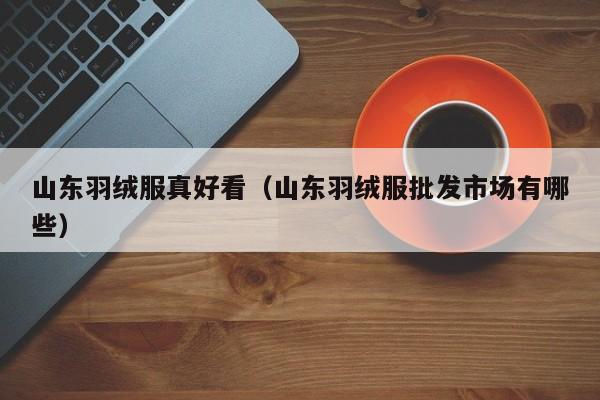 山东羽绒服真好看（山东羽绒服批发市场有哪些）