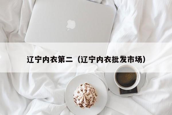 辽宁内衣第二（辽宁内衣批发市场）