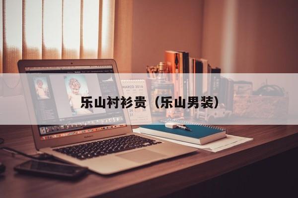 乐山衬衫贵（乐山男装）