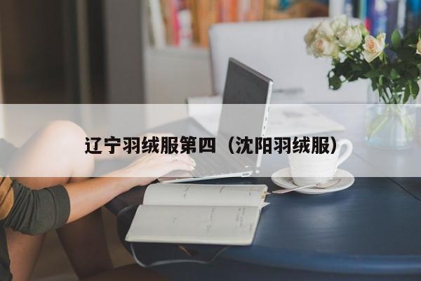 辽宁羽绒服第四（沈阳羽绒服）
