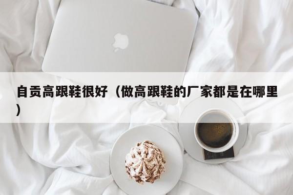 自贡高跟鞋很好（做高跟鞋的厂家都是在哪里）