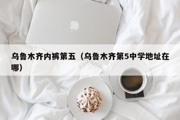 乌鲁木齐内裤第五（乌鲁木齐第5中学地址在哪）