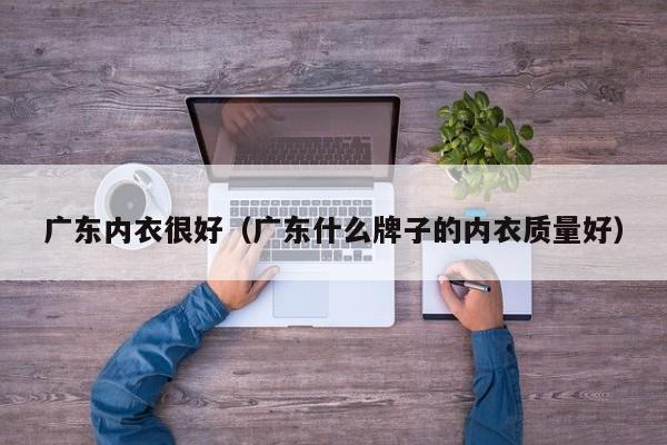 广东内衣很好（广东什么牌子的内衣质量好）