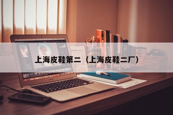 上海皮鞋第二（上海皮鞋二厂）
