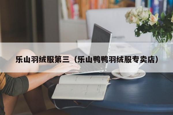 乐山羽绒服第三（乐山鸭鸭羽绒服专卖店）