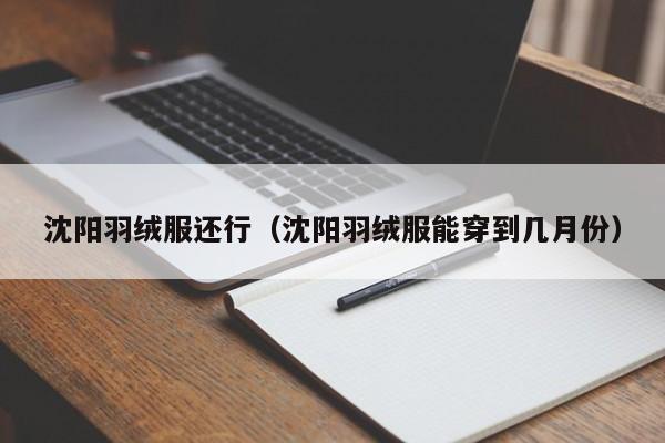 沈阳羽绒服还行（沈阳羽绒服能穿到几月份）