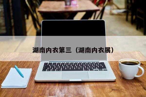 湖南内衣第三（湖南内衣展）