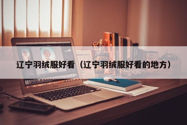 辽宁羽绒服好看（辽宁羽绒服好看的地方）