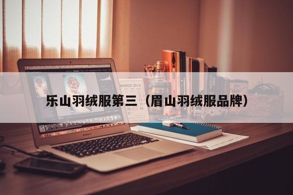乐山羽绒服第三（眉山羽绒服品牌）