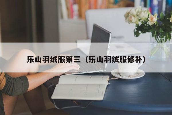 乐山羽绒服第三（乐山羽绒服修补）