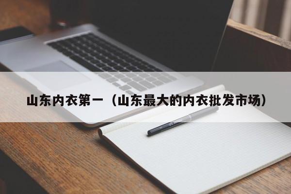 山东内衣第一（山东最大的内衣批发市场）