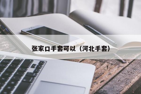 张家口手套可以（河北手套）