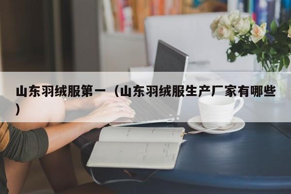 山东羽绒服第一（山东羽绒服生产厂家有哪些）