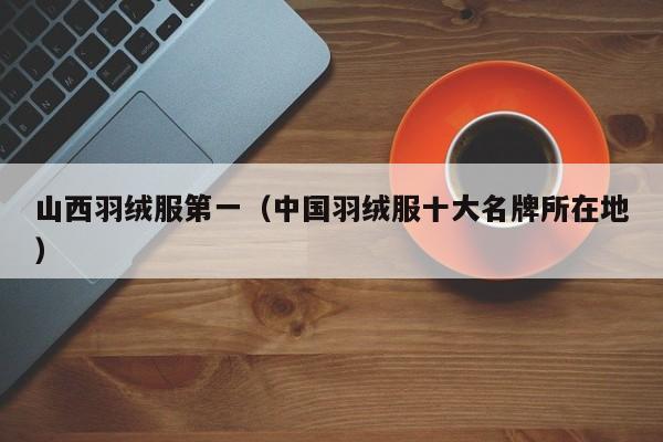 山西羽绒服第一（中国羽绒服十大名牌所在地）