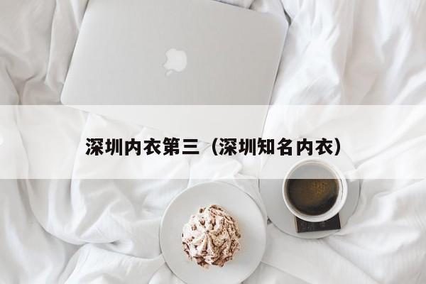 深圳内衣第三（深圳知名内衣）