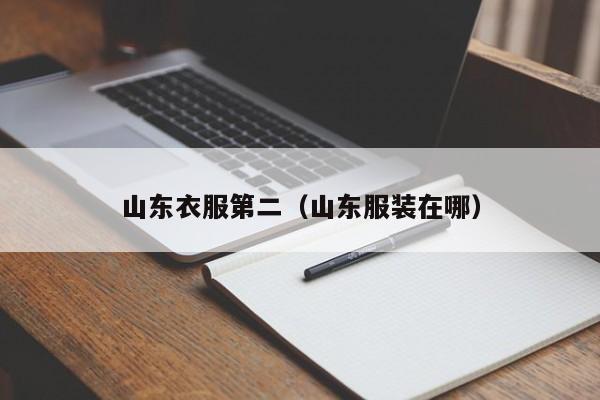 山东衣服第二（山东服装在哪）