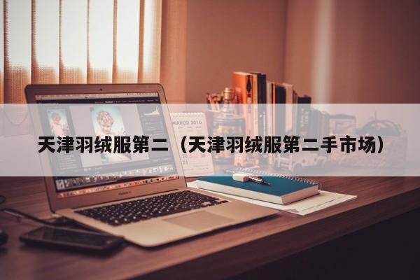 天津羽绒服第二（天津羽绒服第二手市场）