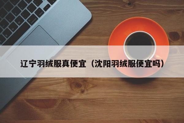 辽宁羽绒服真便宜（沈阳羽绒服便宜吗）