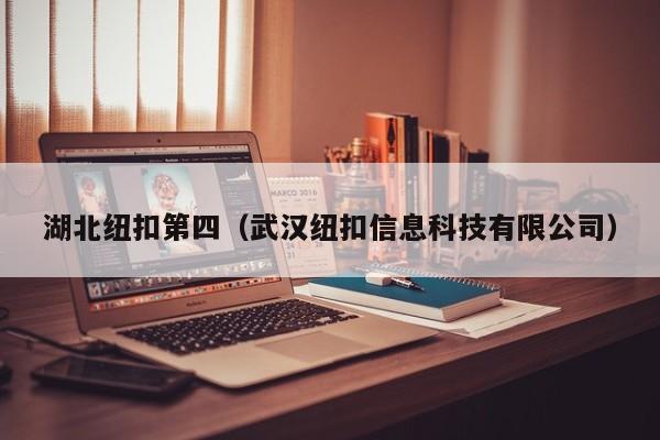 湖北纽扣第四（武汉纽扣信息科技有限公司）
