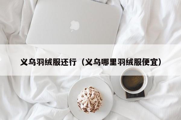 义乌羽绒服还行（义乌哪里羽绒服便宜）