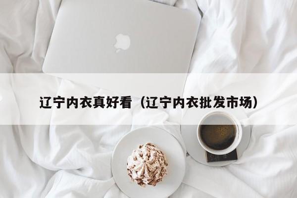 辽宁内衣真好看（辽宁内衣批发市场）