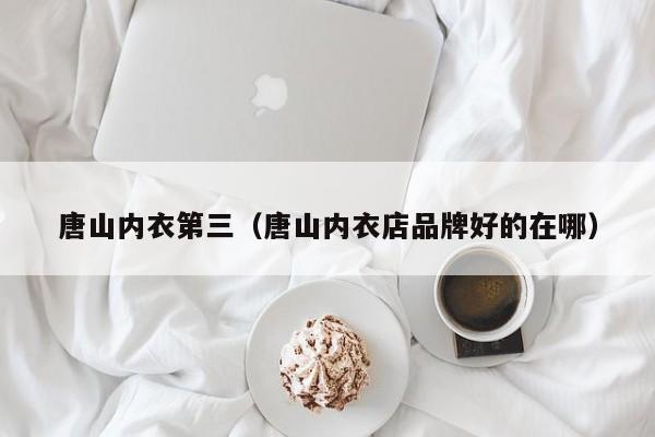 唐山内衣第三（唐山内衣店品牌好的在哪）
