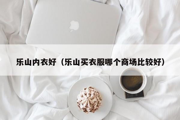 乐山内衣好（乐山买衣服哪个商场比较好）
