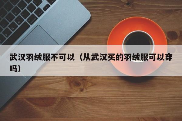 武汉羽绒服不可以（从武汉买的羽绒服可以穿吗）