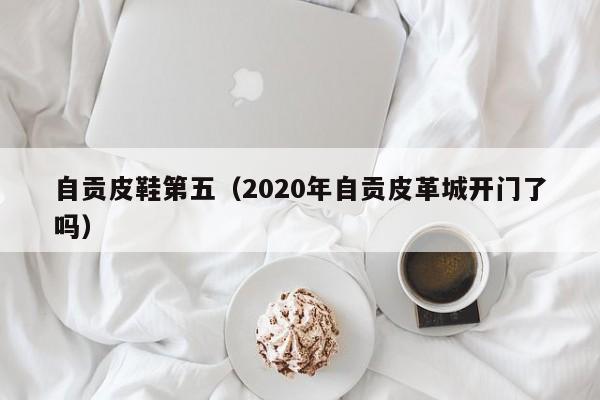 自贡皮鞋第五（2020年自贡皮革城开门了吗）