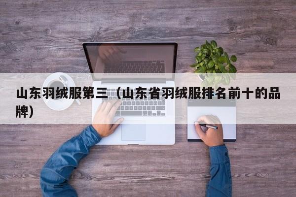 山东羽绒服第三（山东省羽绒服排名前十的品牌）