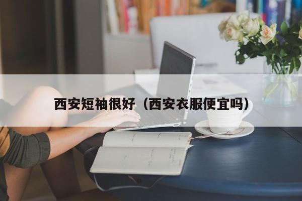 西安短袖很好（西安衣服便宜吗）