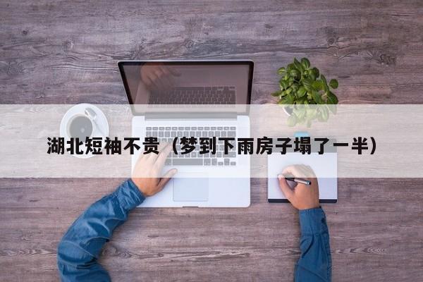 湖北短袖不贵（梦到下雨房子塌了一半）