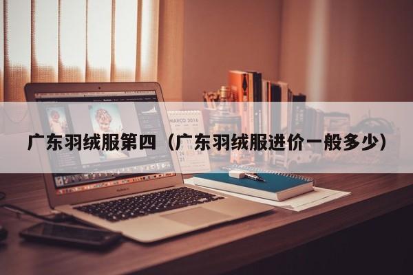 广东羽绒服第四（广东羽绒服进价一般多少）