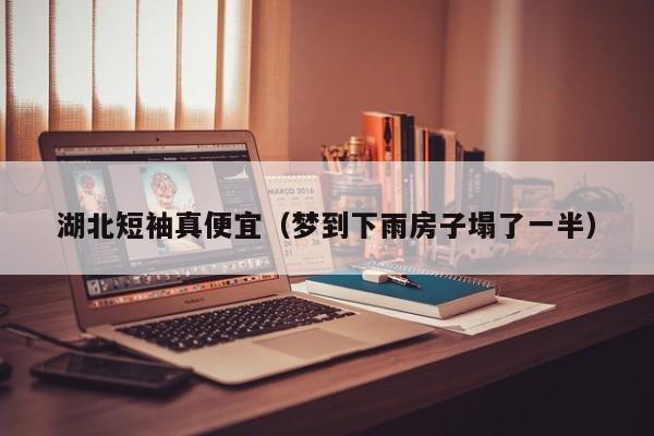 湖北短袖真便宜（梦到下雨房子塌了一半）