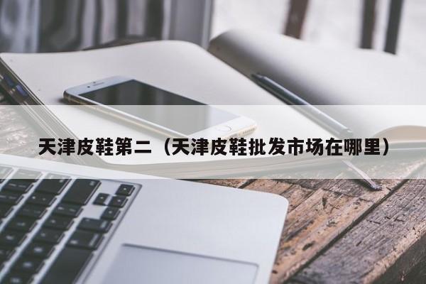 天津皮鞋第二（天津皮鞋批发市场在哪里）