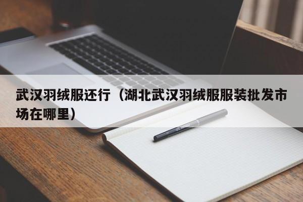 武汉羽绒服还行（湖北武汉羽绒服服装批发市场在哪里）