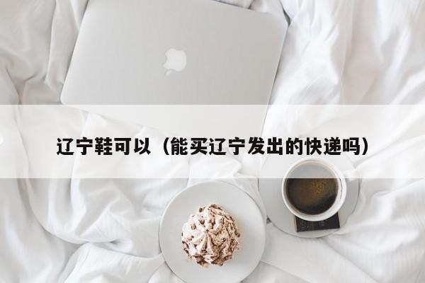 辽宁鞋可以（能买辽宁发出的快递吗）